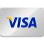 visa payment